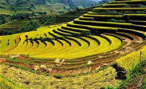 HÀ NỘI - NGHĨA LỘ - MÙ CANG CHẢI - TÚ LỆ